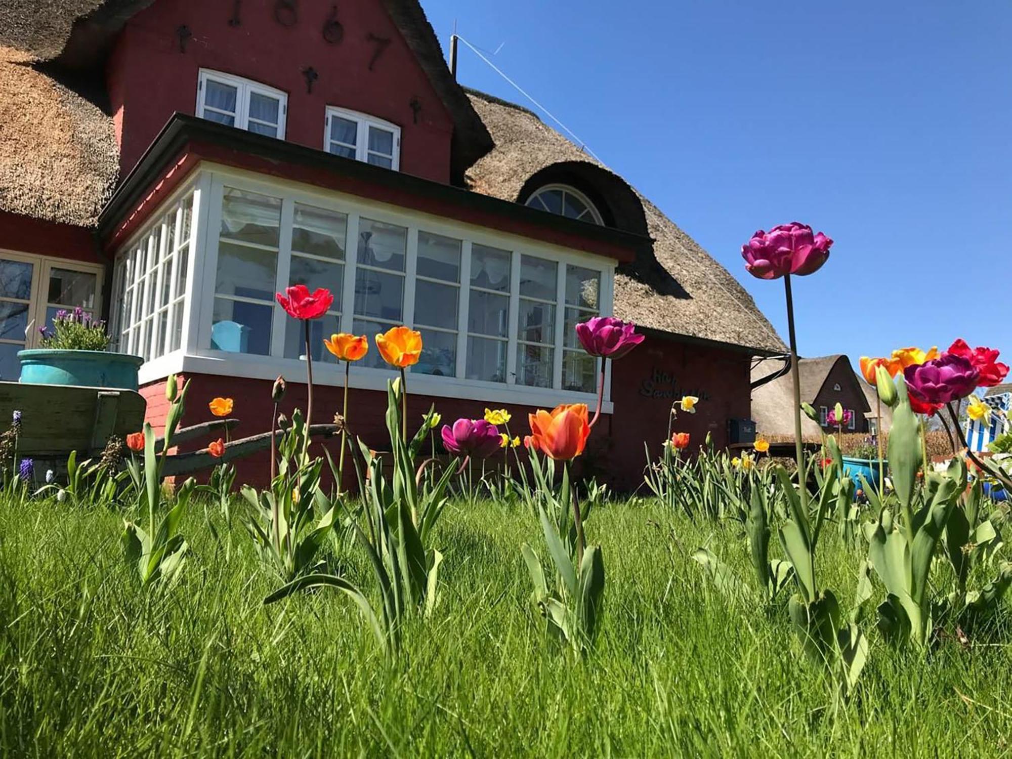 Hüs Sanskiin Ferienwohnung *Driiwholt* Suddorf Exterior foto