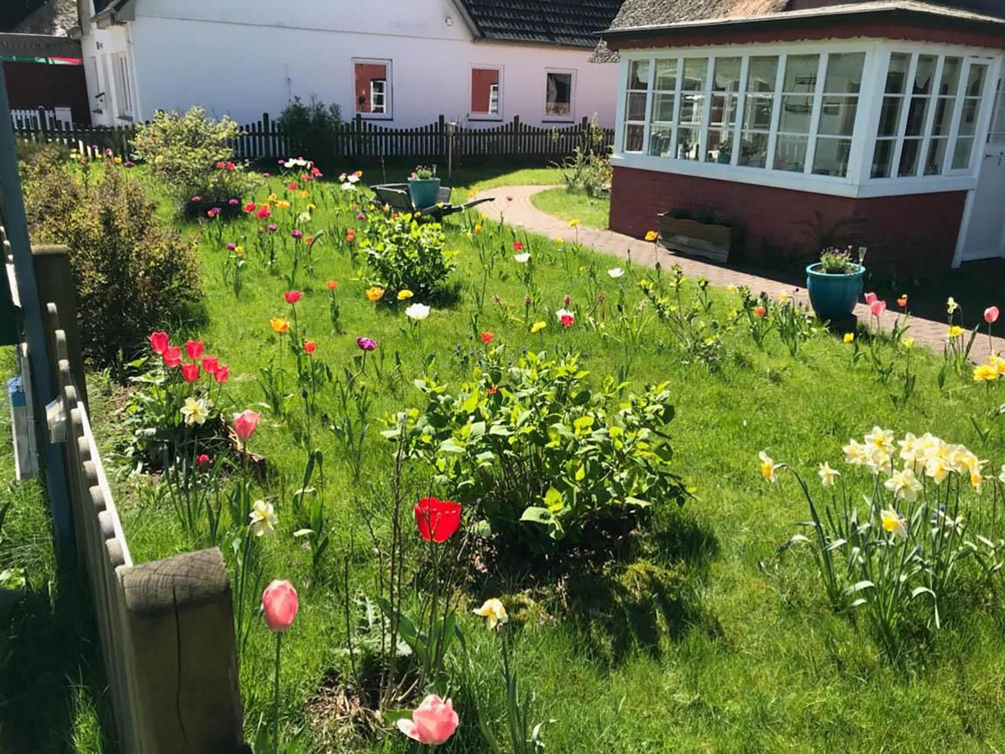 Hüs Sanskiin Ferienwohnung *Driiwholt* Suddorf Exterior foto